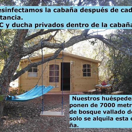 La Cabana Del Alcornoque قرطبة المظهر الخارجي الصورة