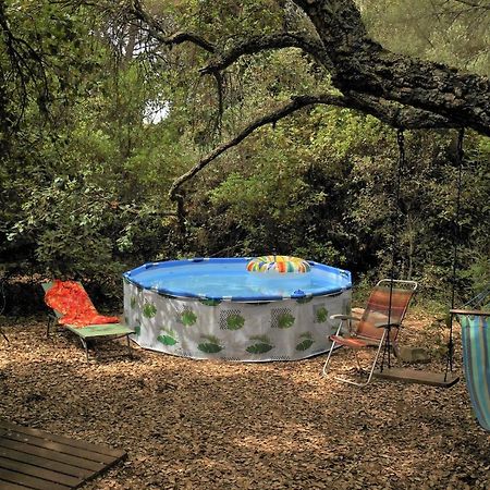 La Cabana Del Alcornoque قرطبة المظهر الخارجي الصورة