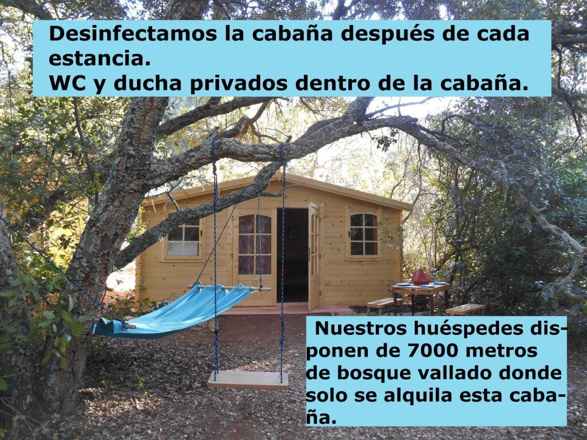 La Cabana Del Alcornoque قرطبة المظهر الخارجي الصورة