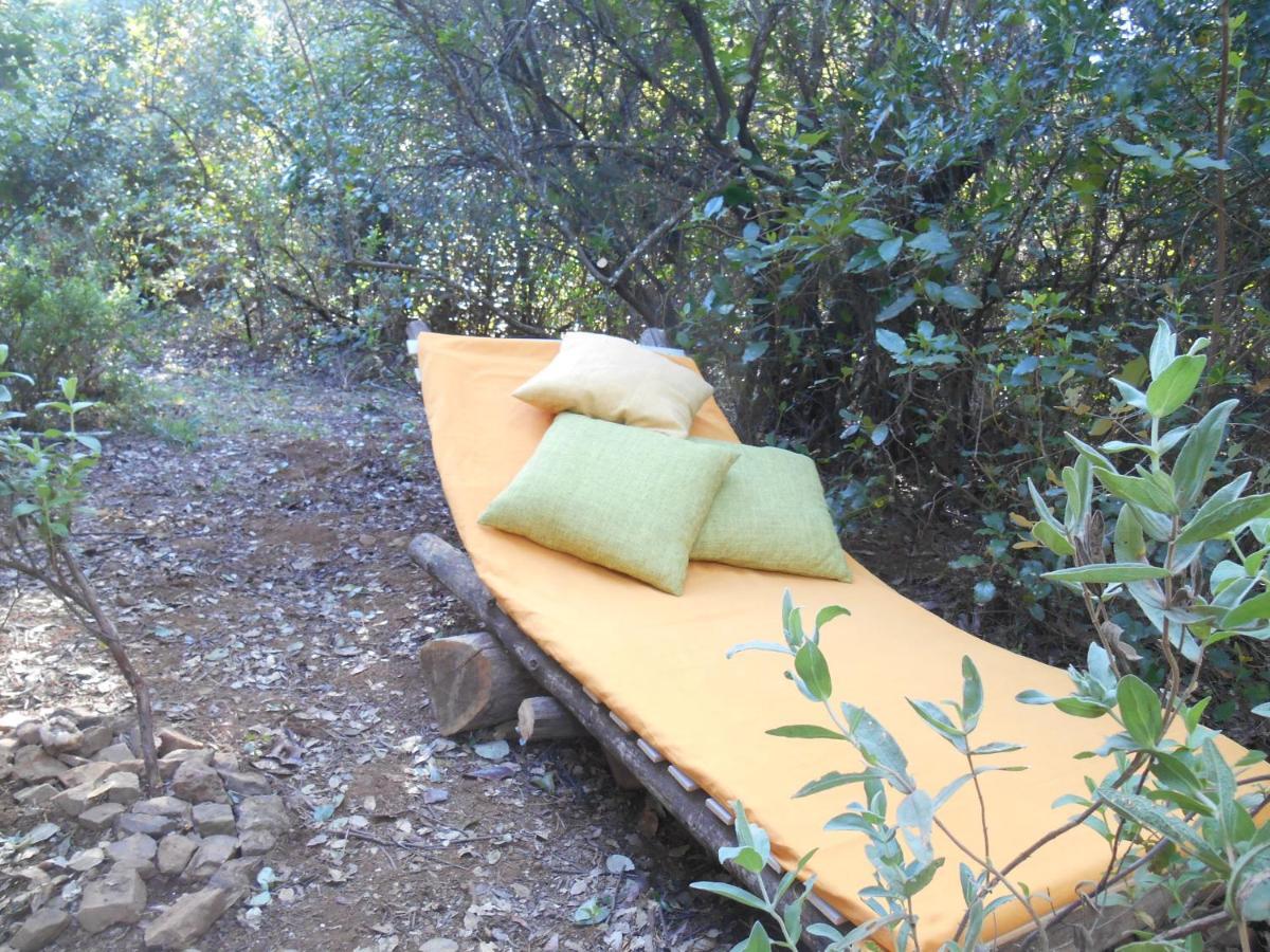La Cabana Del Alcornoque قرطبة المظهر الخارجي الصورة