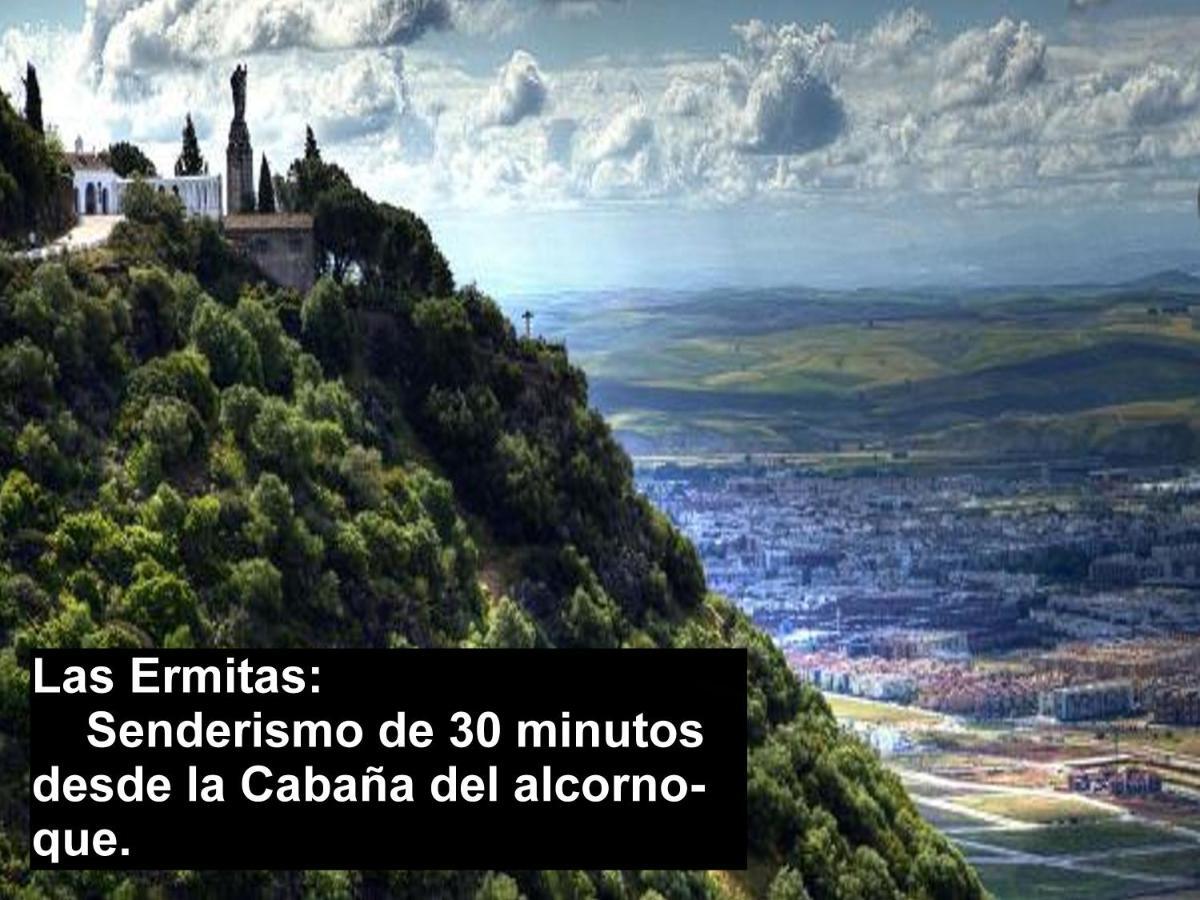 La Cabana Del Alcornoque قرطبة المظهر الخارجي الصورة